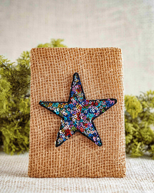 Sequins Star in Multicolor